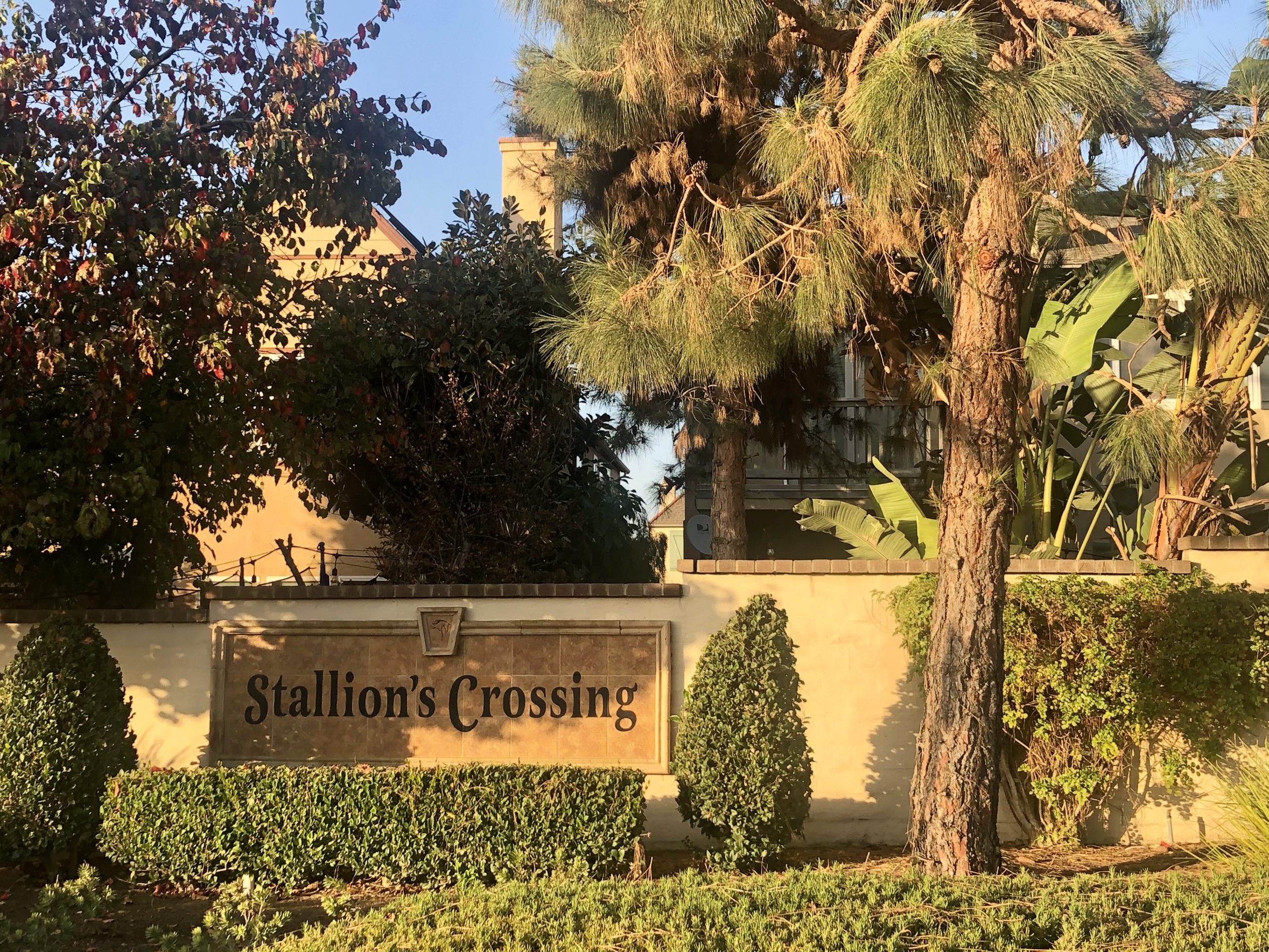 Stallion’s Crossing, Carmel Valley, San Diego, 92130