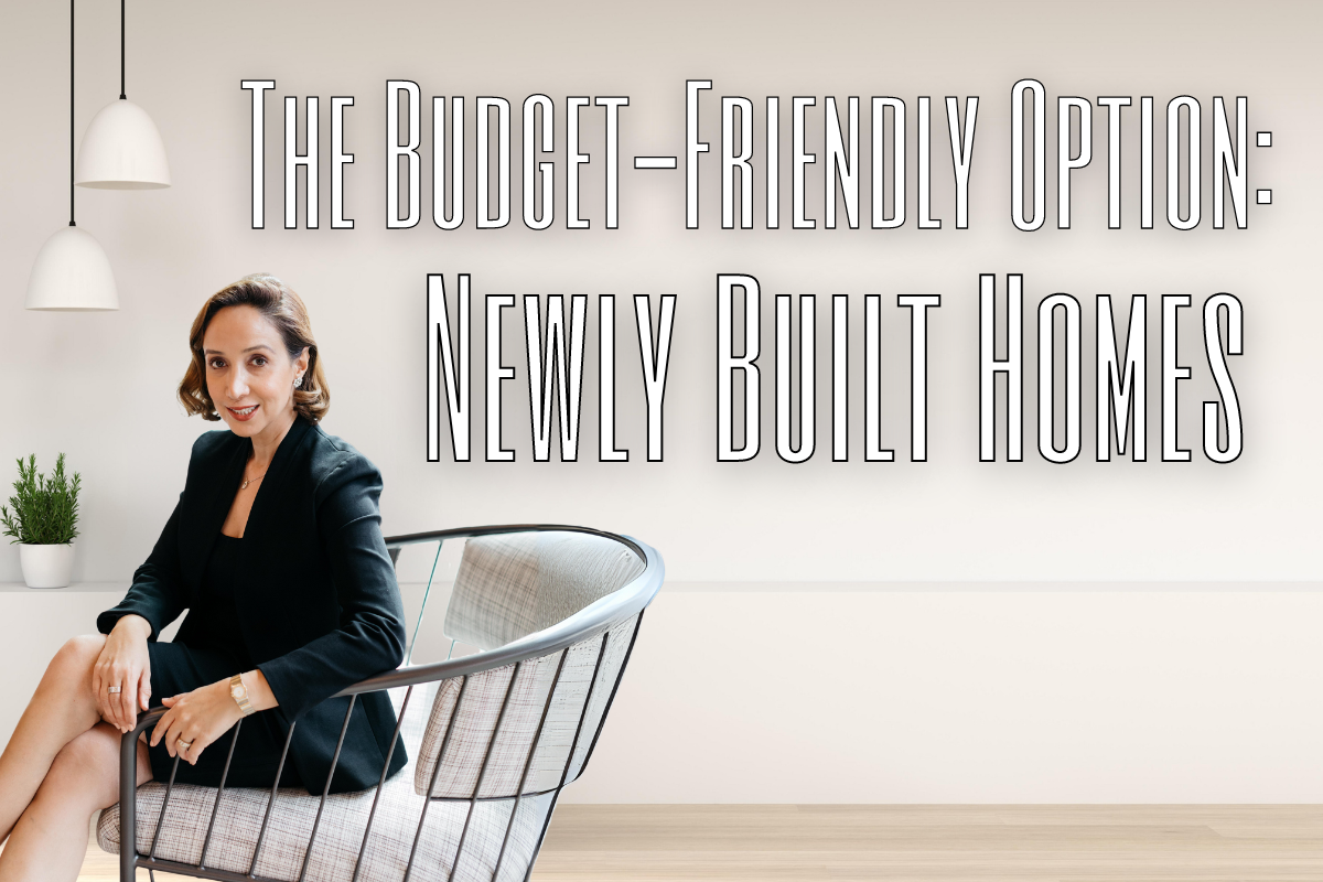 The Budget-Friendly Option: Newly Built Homes