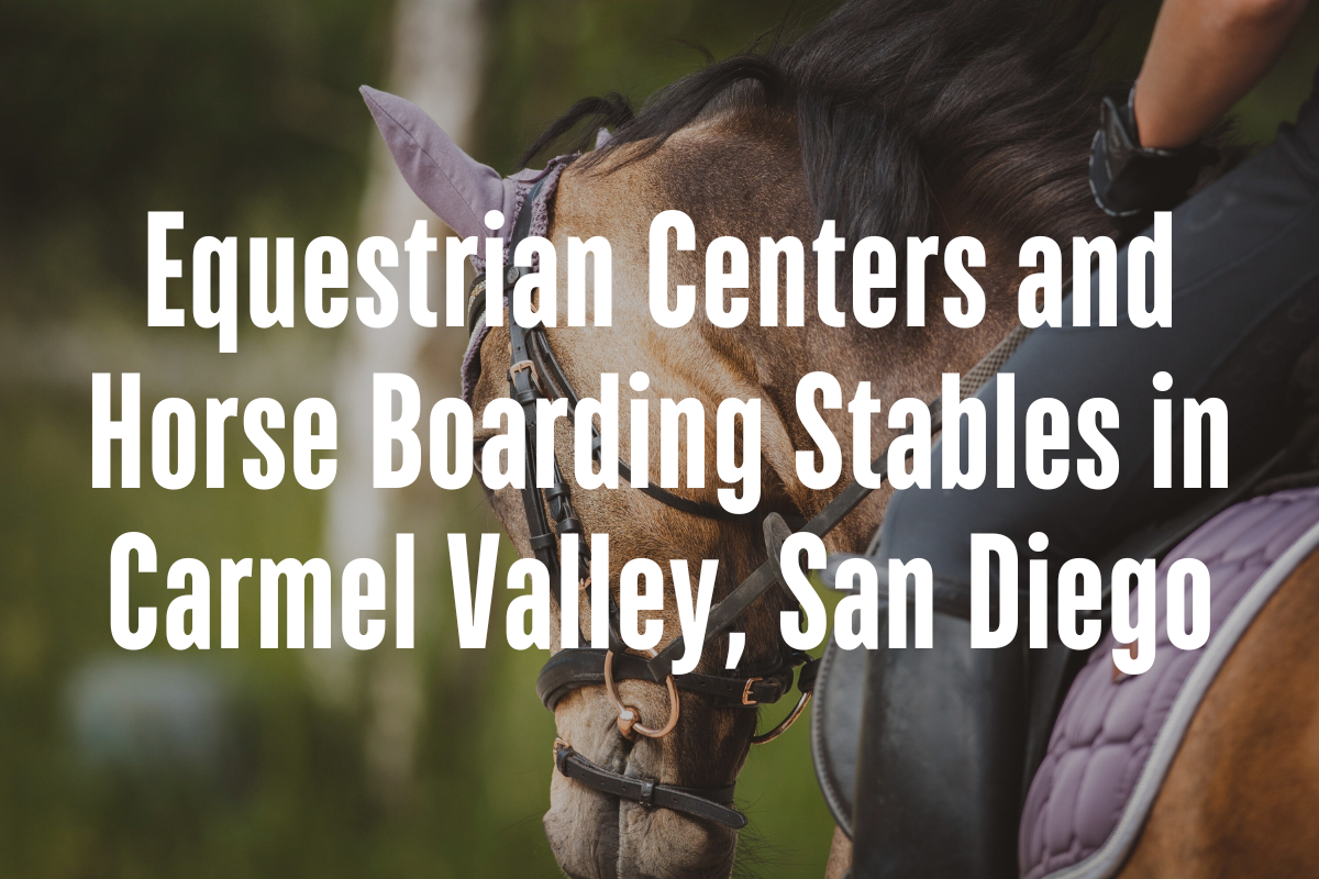 Equestrian Centers and Horse Boarding Stables in Carmel Valley, San Diego