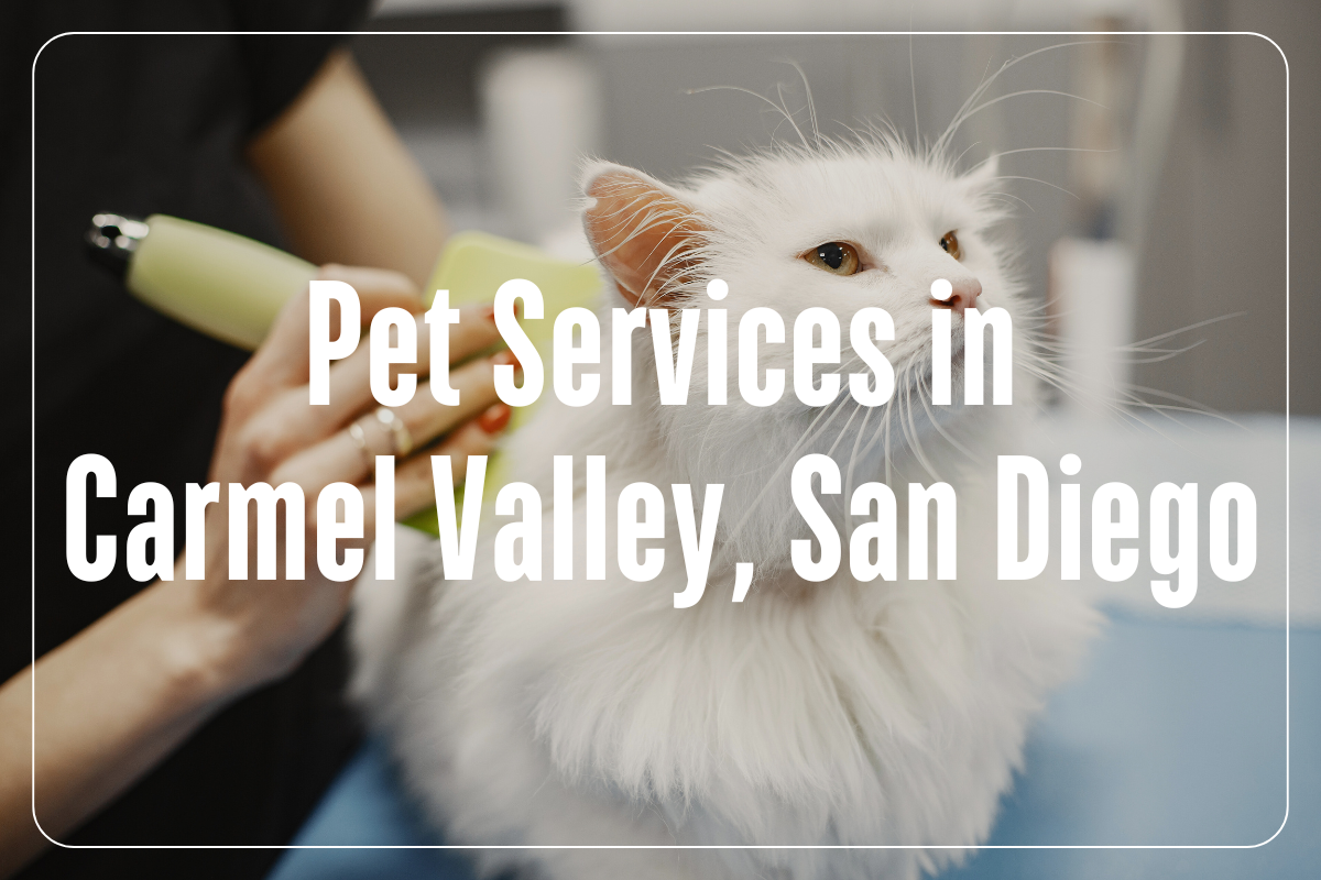 Pet Services in Carmel Valley, San Diego 92130