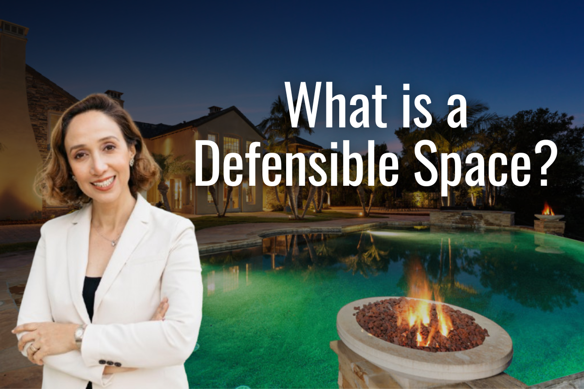 What is a Defensible Space?